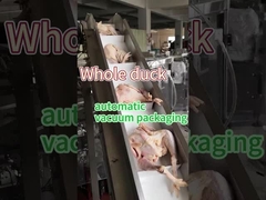 Maszyna do pakowania mrożonych produktów spożywczych z stali nierdzewnej 304/316